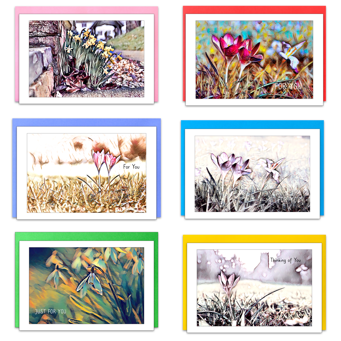 Spring Flowers (2) x 6 Cards