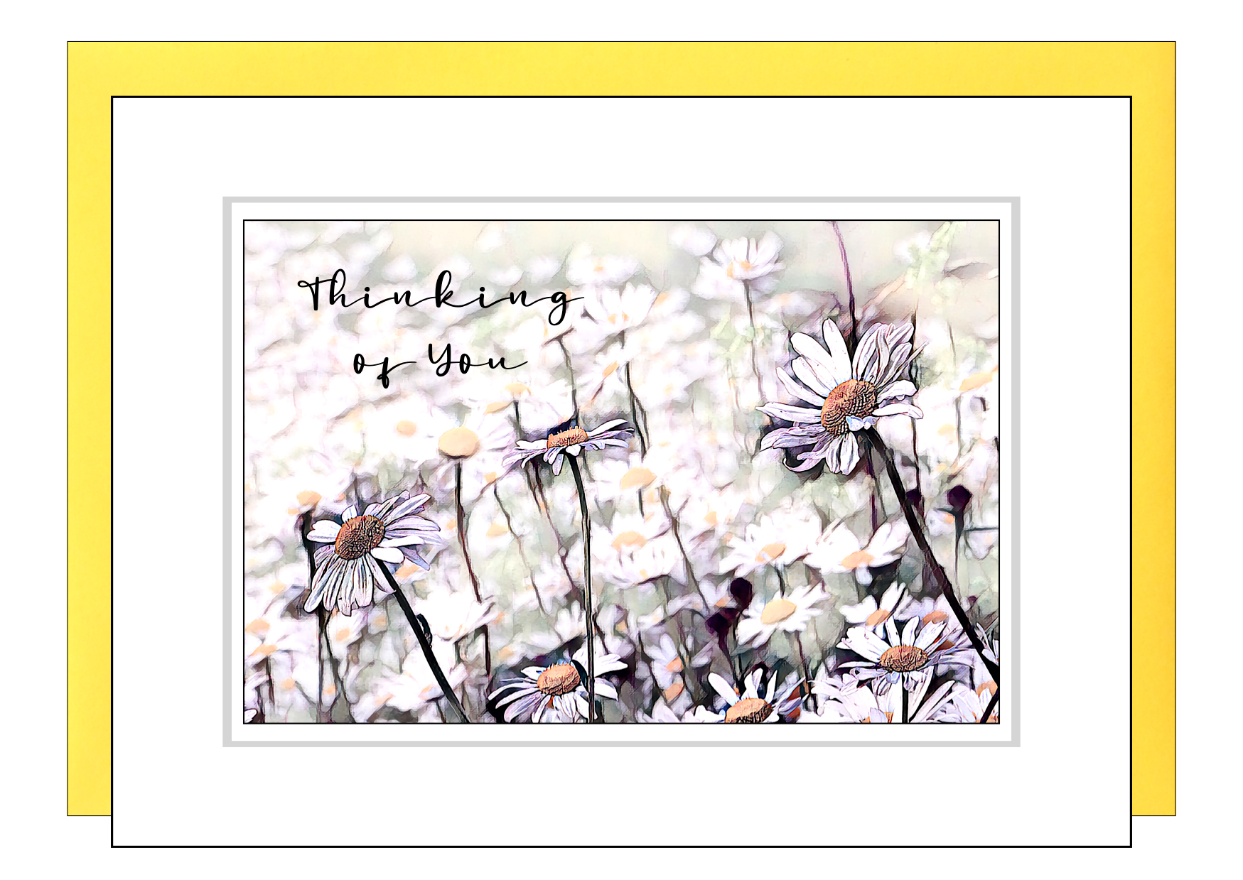 Daisy Thinking of You