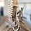 Thumbnail: AB Silver Pearl Maltese Cross Necklace on driftwood