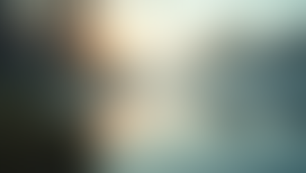 The Transformative Power of Pause: How "Wait 48" Can Change Your Life