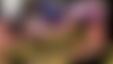 【新クラス】強化練習会を実施します!