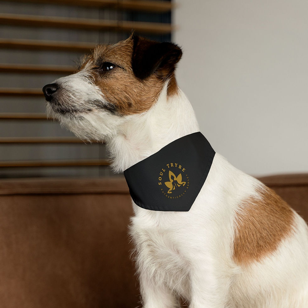 Thumbnail: Soul Trybe Pet Bandana by Authentically Ashley