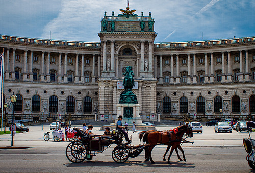brown horse with carriage on road near b
