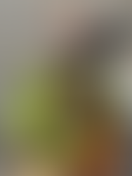 Ascher Cliff Restaurant Appenzell Travel with Tarry Laurensia brunch cheese tart and hot chocolate