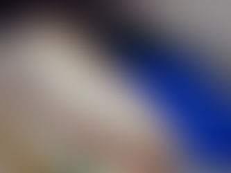 The Shinkansen bullet train at the station, Japan’s fastest and most efficient way to travel between major cities.