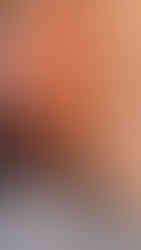 Travel with tarry laurensia bologna Italy