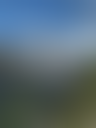 Seealpsee Appenzeell by Travel with Tarry - hiking view