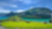 travel with tarry laurensia.jpg