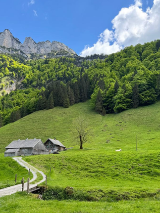 Seealpsee Appenzeell by Travel with Tarry - beauty destinations