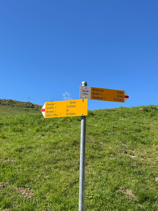 Ascher Cliff Restaurant Appenzell Travel   with Tarry Laurensia - the signage