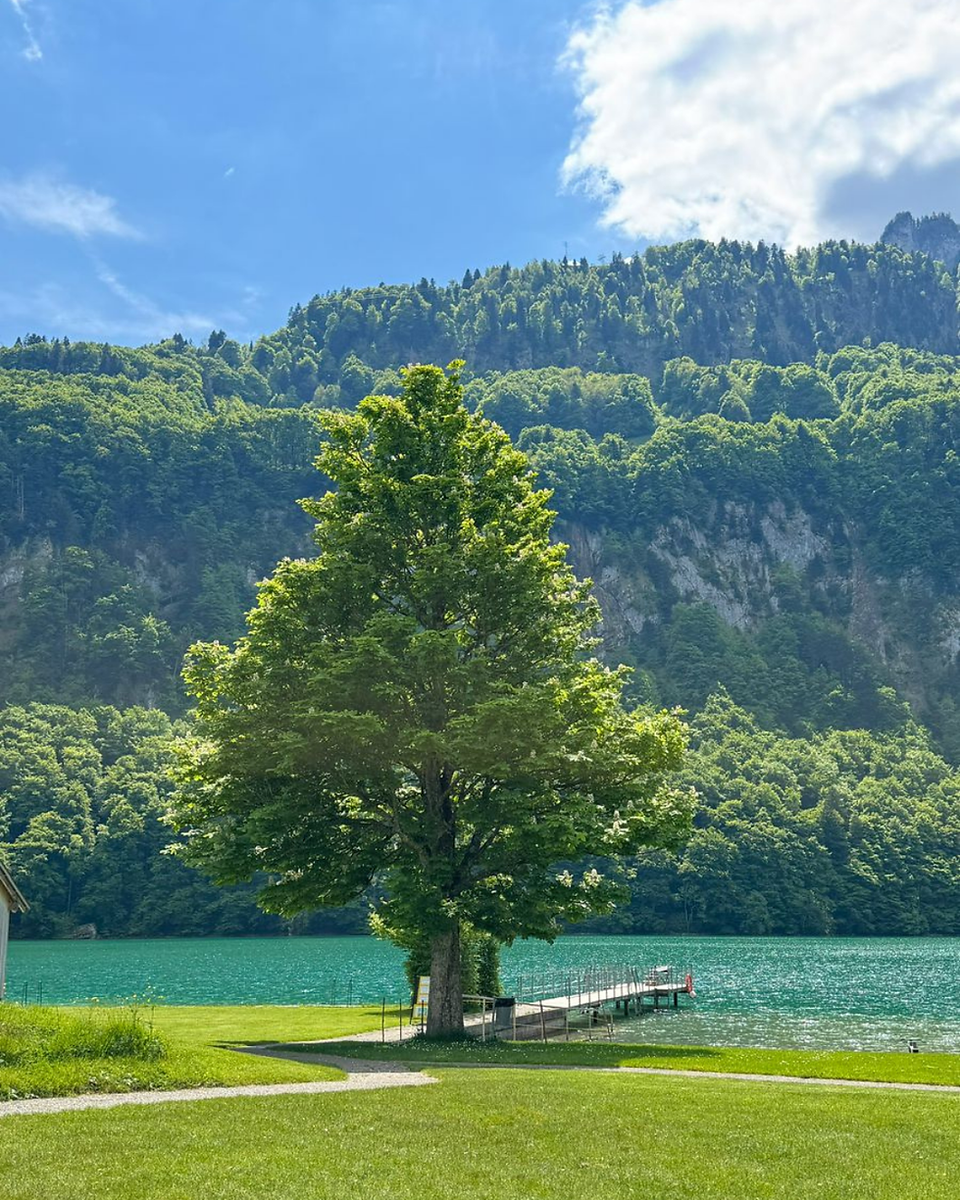Easy Walk Seelisbergsee Switzerland. Discover the Scenic 7 minutes Walk from the Bus Stop to Stunning Seelisbergsee, Switzerland