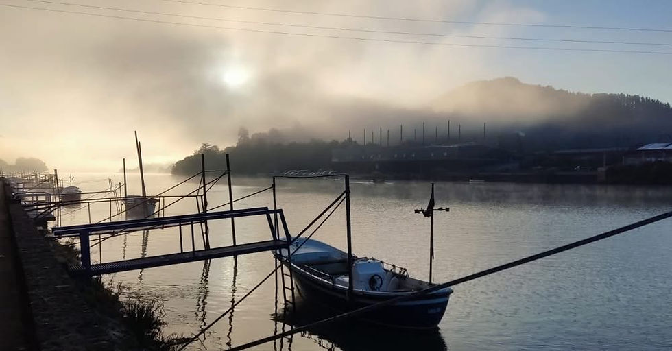 entre barcos y redes.jpeg