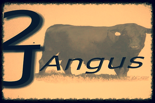 2J Angus Bull Sale Ogden Iowa