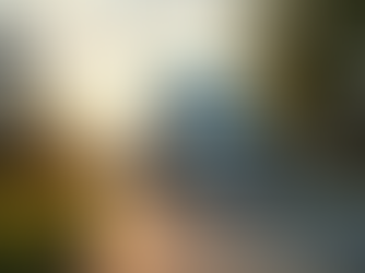 Explore Premier Moving Services in Virginia Beach