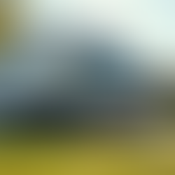 Why Choose a Professional Moving Company