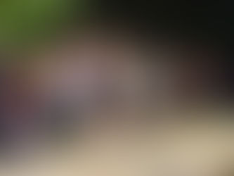 Coverage From IESA Sectionals