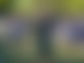 Coverage From Mather Invite #3