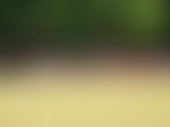 Coverage From NIC-10 Preview