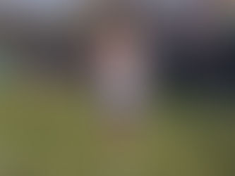 Coverage From Lakes Sectional