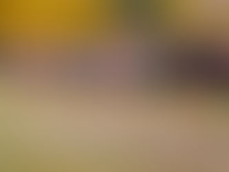 The 2nd Annual Cross Country Awards: 2025 Edition