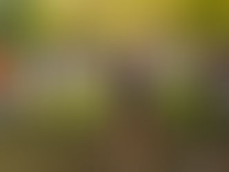 2025 IHSA XC Regional Predictions