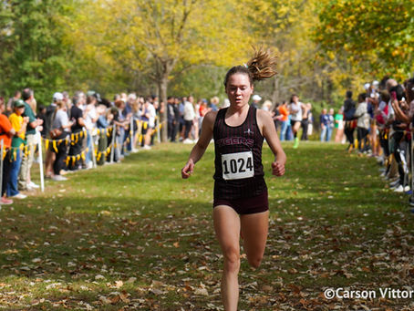 2025 IHSA XC Regional Predictions