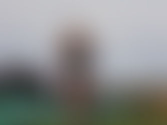 2025 IHSA XC Sectional Projections