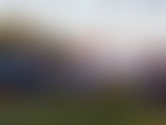 2025 XC Individual Rankings: Week 8