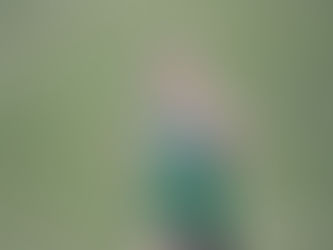 IHSA 3A Sectional Rankings