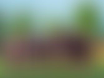 Coverage From EIU Showdown