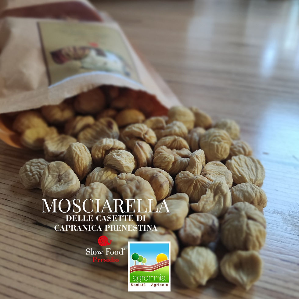 Scopri la "Mosciarella" di Capranica Prenestina