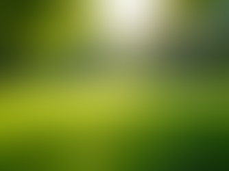 Seasonal Lawn Care After Hydroseeding: How to Keep Your New Grass Thriving Year-Round