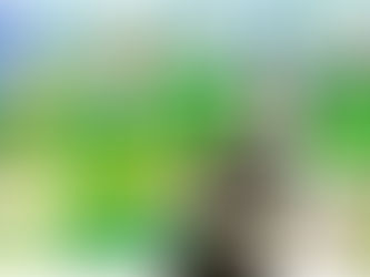 WINTER HOLIDAY CARD CONTEST: Tricks of Grand Father Frost