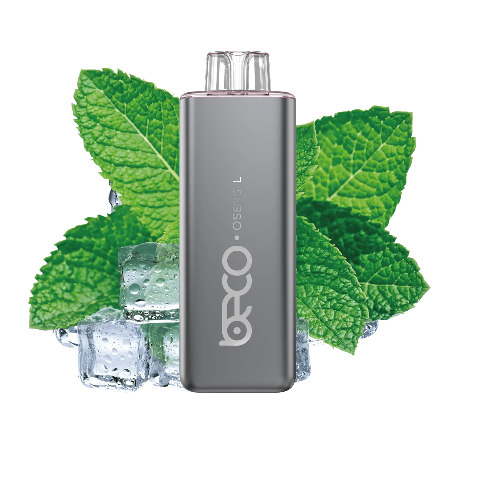 COOL MINT (BOX OF 5)