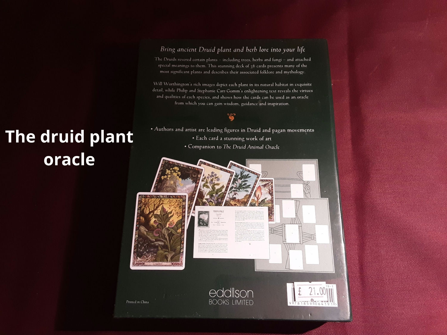 The druid plant oracle