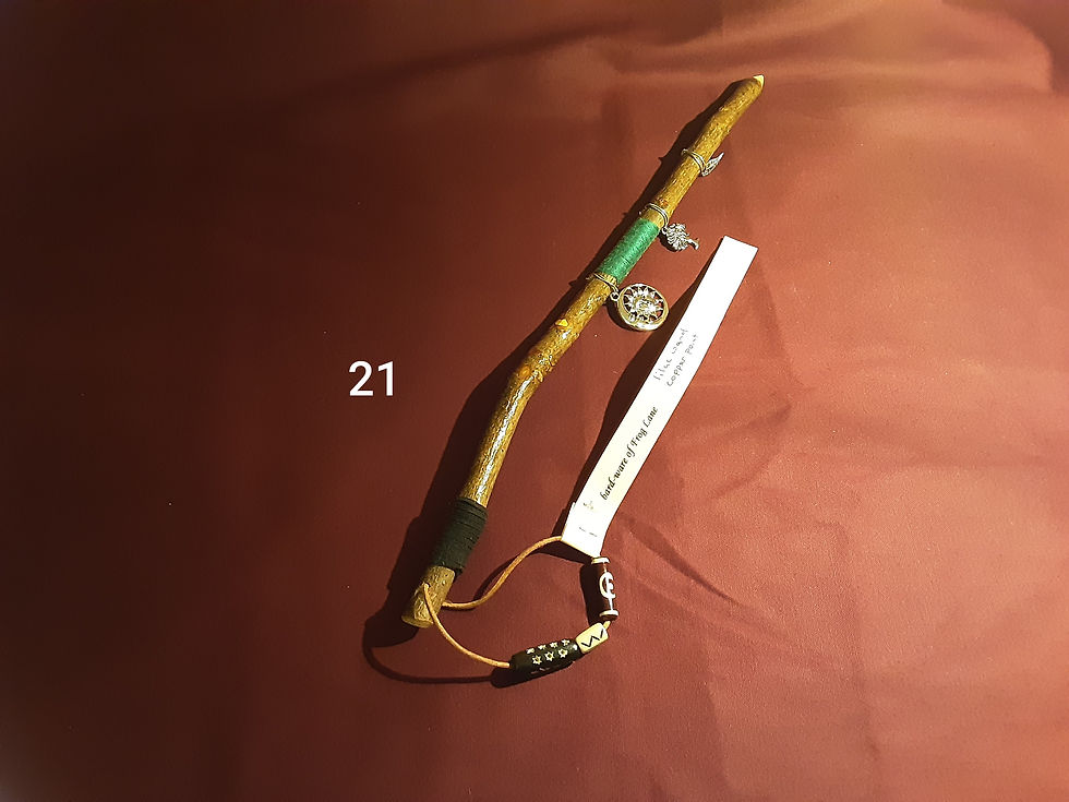 Thumbnail: Please click on image to see more beautiful wands by grandad 