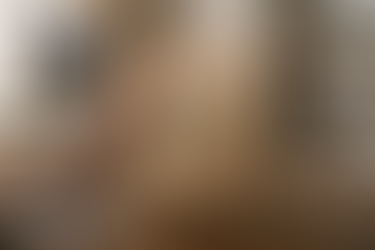 El Logo que Nunca Llegó: Por qué el "me gusta todo" está matando tu marca