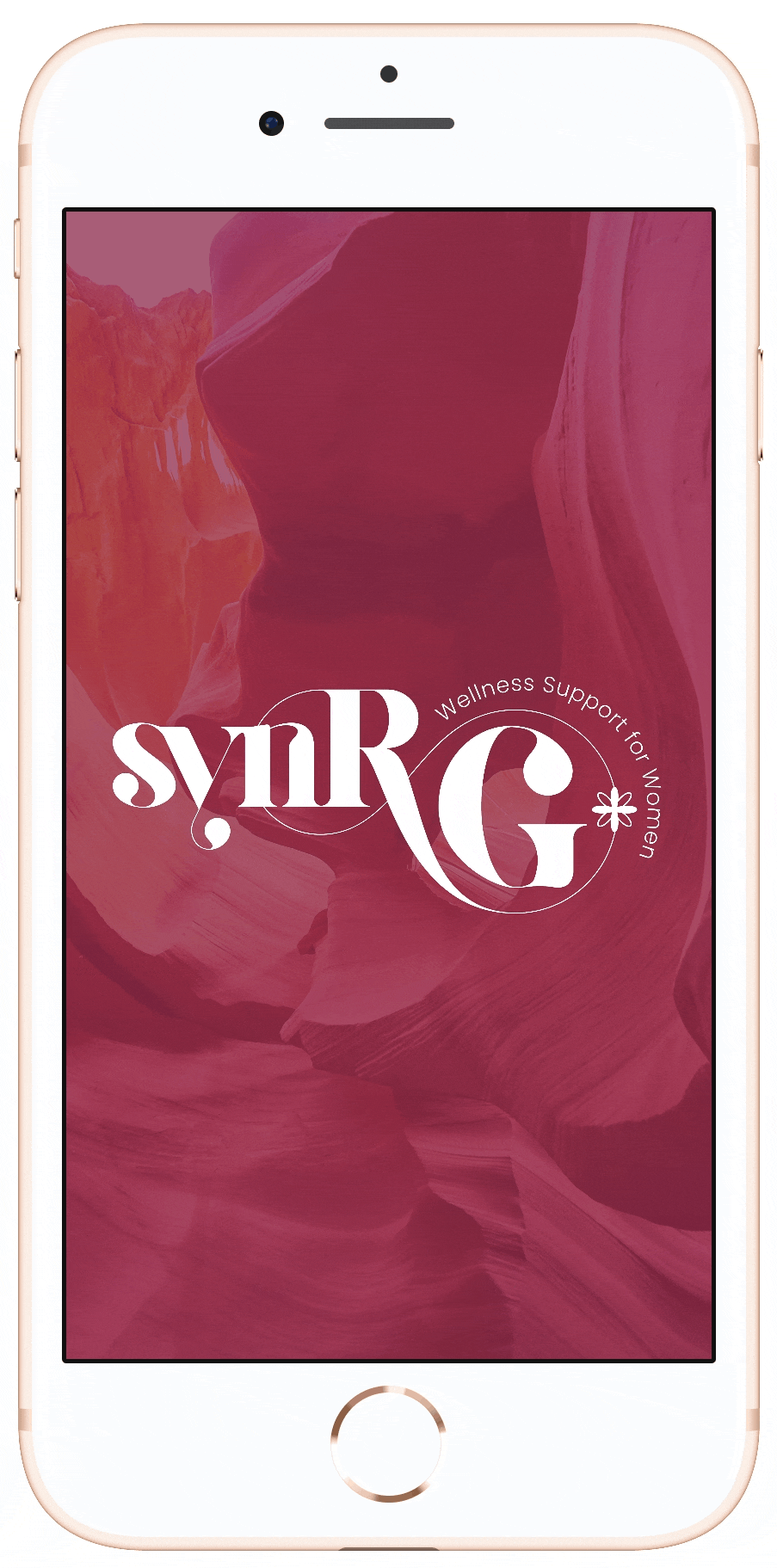 onboarding and feed.gif