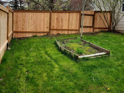 Sloping mowed lawn and tall wood fence on side of house.