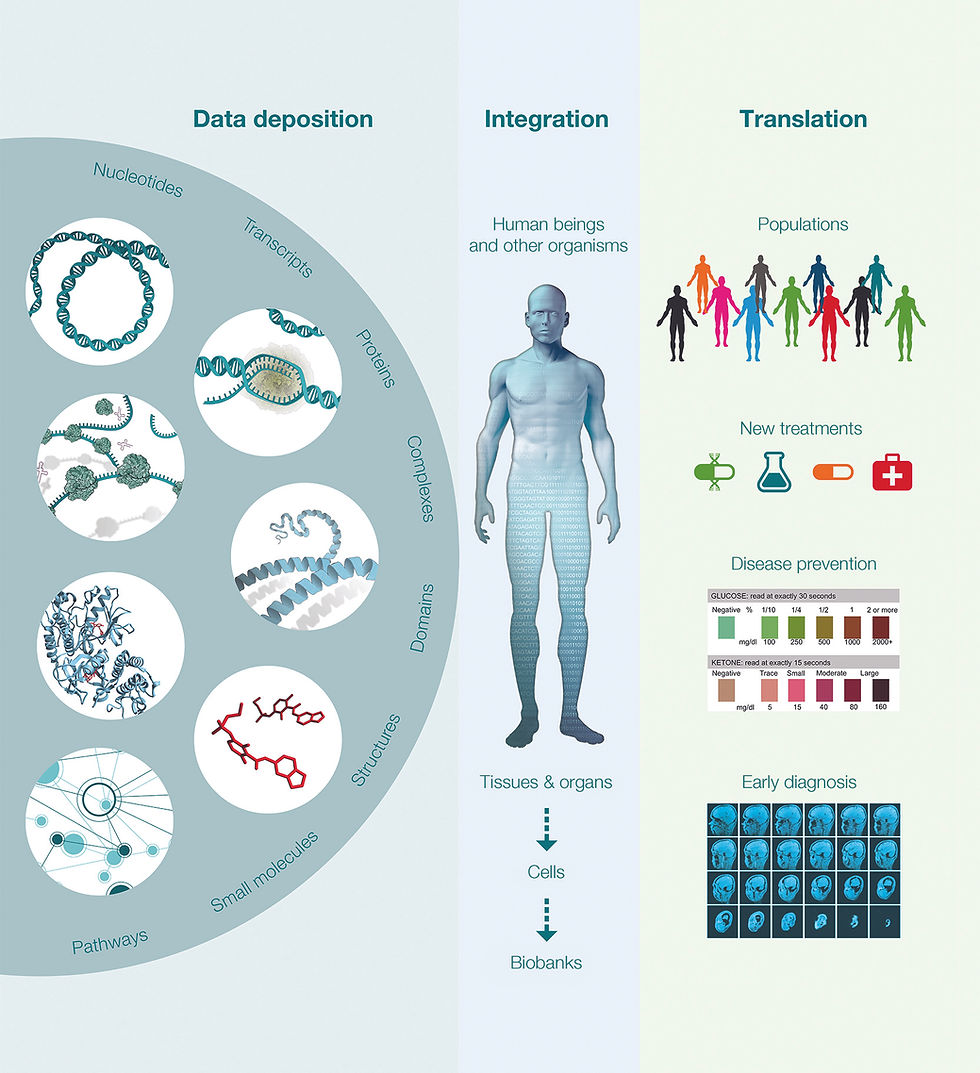 Infographics