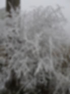 Embark on a journey of radical transformation and renewal in the year 2017. Explore the profound shifts in collective consciousness, revelations, and the unveiling of truths amidst a rapidly changing world. Discover insights on navigating through the chaos with non-attachment, taking inspired action, and anchoring inner peace amidst uncertainty. Join us as we embrace the challenges and opportunities of this new era with faith, courage, and determination.