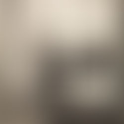 ガラス写真で残したいもの-湿板写真で何を撮影しますか?