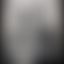 湿板写真の撮影体験を京都で