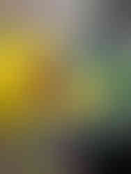 湿板写真ポートレート