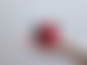 小さなカメラオブスクラ