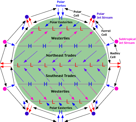 Complex Circulation.gif
