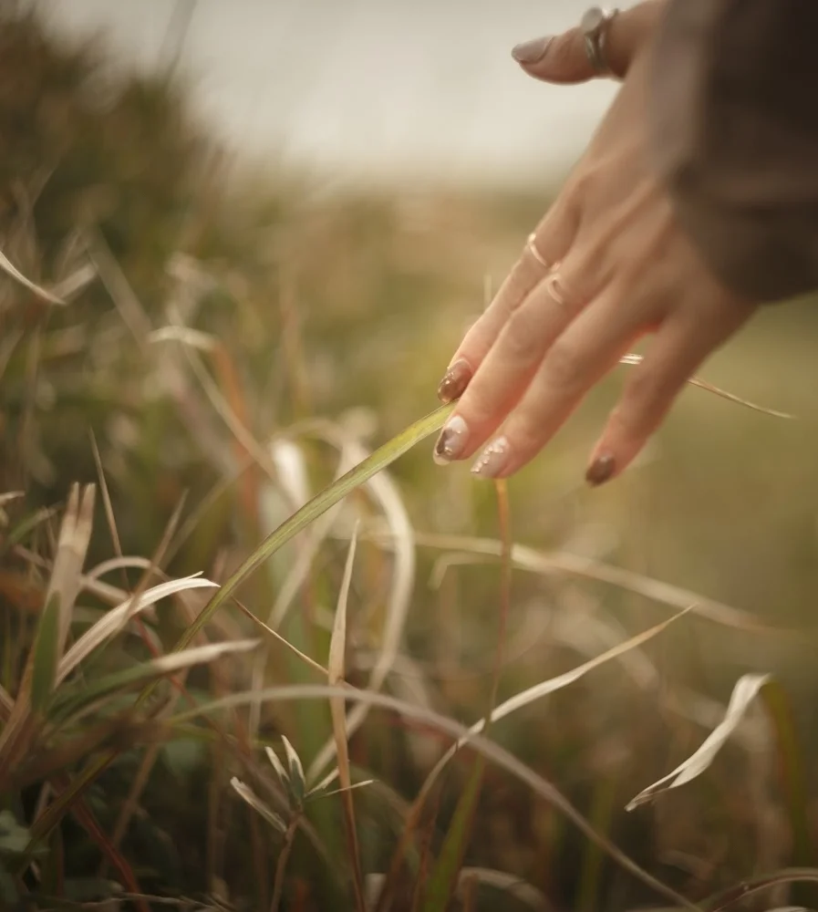 パラジェルとシェラックの違い Bovoka Nails Eyebrow