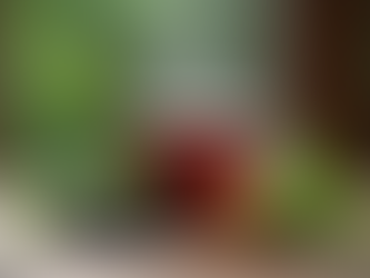 Seasonal Allergy Relief Tea