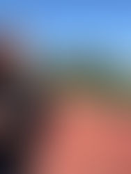 Lynchburg Track & Field Honors Csorba with Memorial Walk, Plaque Dedication