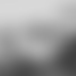 Deciding If You Need A Wedding Planner or Coordinator! + My Recs for Sacramento & Tahoe Locals